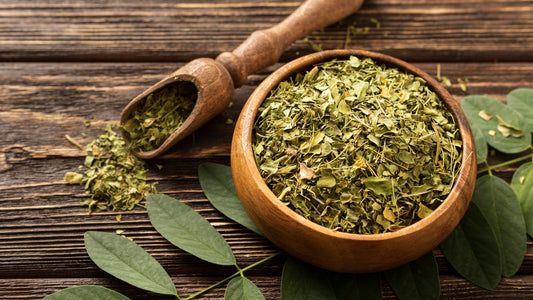 Yerba Mate - The South American Powerhouse